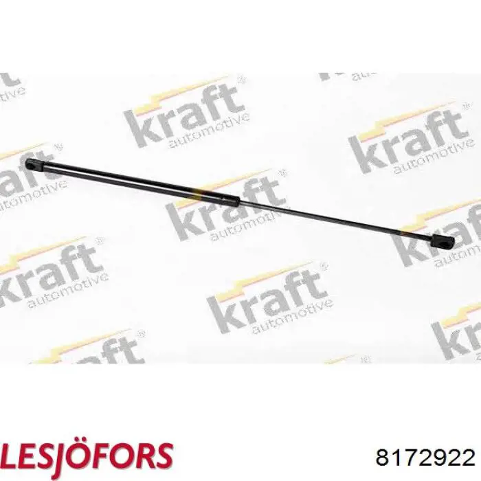 Амортизатор задней двери Lesjofors 8172922 цена, от 9.84 USD