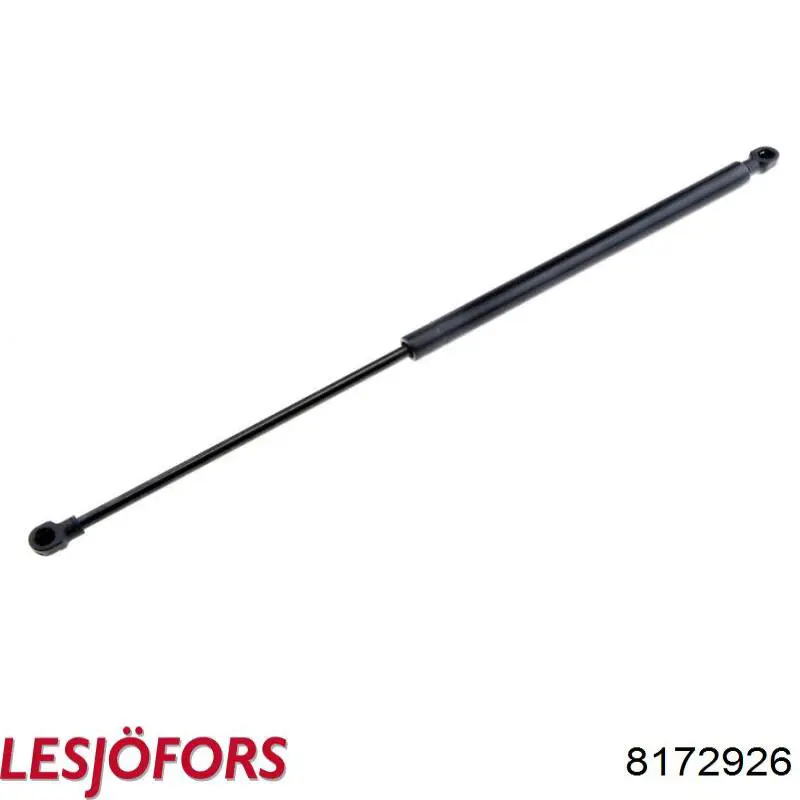 Амортизатор задней двери Lesjofors 8172926 цена, от 13.17 USD
