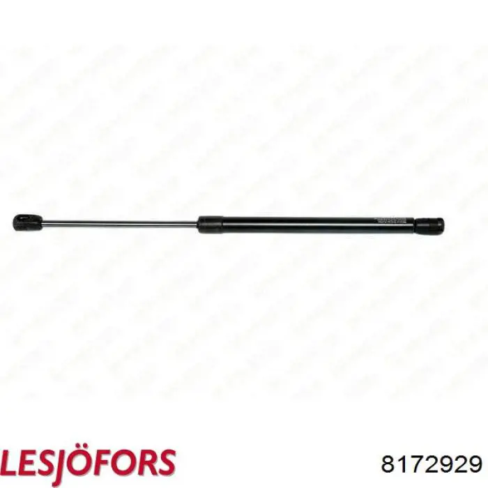 Амортизатор задней двери Lesjofors 8172929 цена, от 11.17 USD