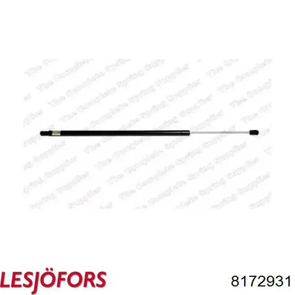 Амортизатор багажника 700700 Hans Pries (Topran)