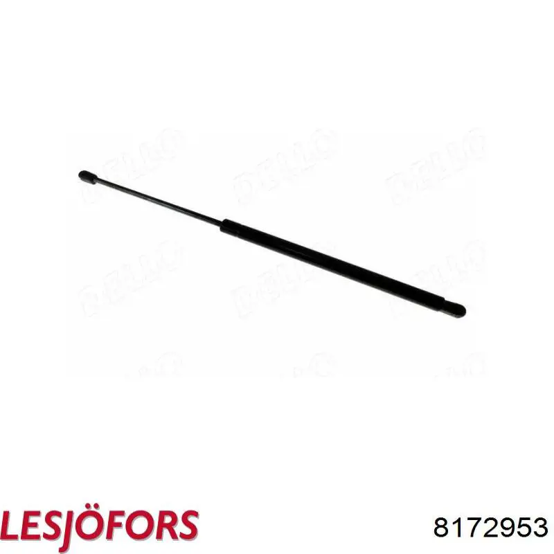 Амортизатор задней двери Lesjofors 8172953 цена, от 11.61 USD