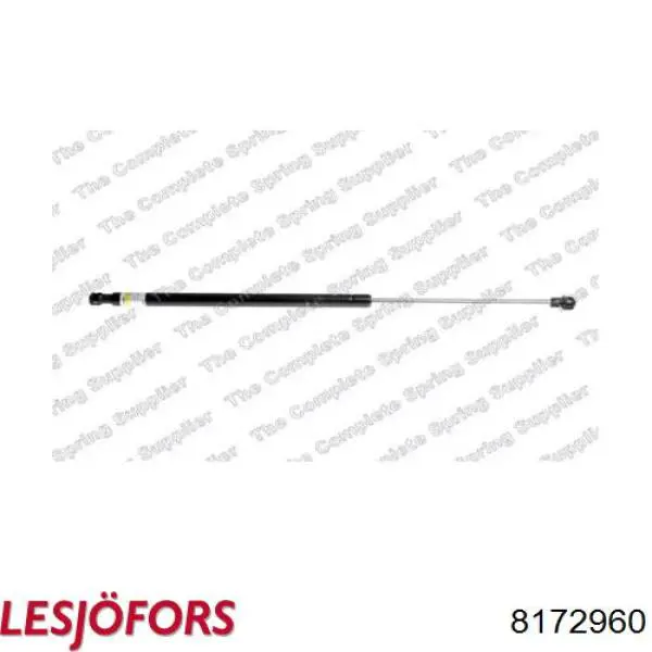 Амортизатор задней двери Lesjofors 8172960 цена, от 12.05 USD