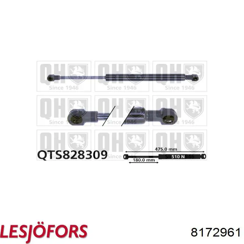 Амортизатор задней двери Lesjofors 8172961 цена, от 13.91 USD