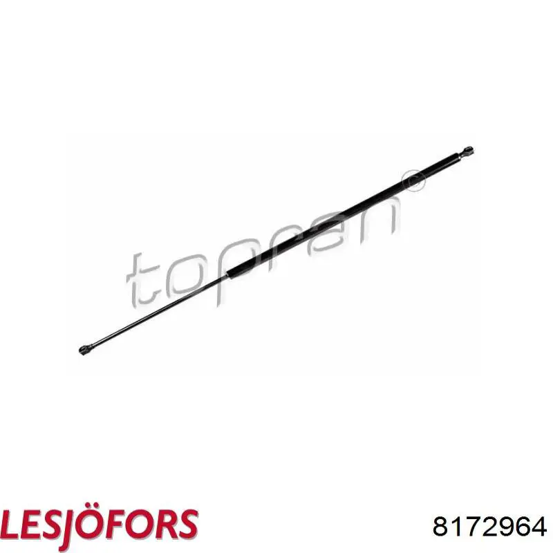 Амортизатор задней двери Lesjofors 8172964 цена, от 12.35 USD