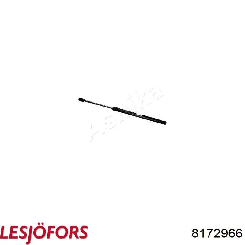 Амортизатор задней двери Lesjofors 8172966 цена, от 16.30 USD