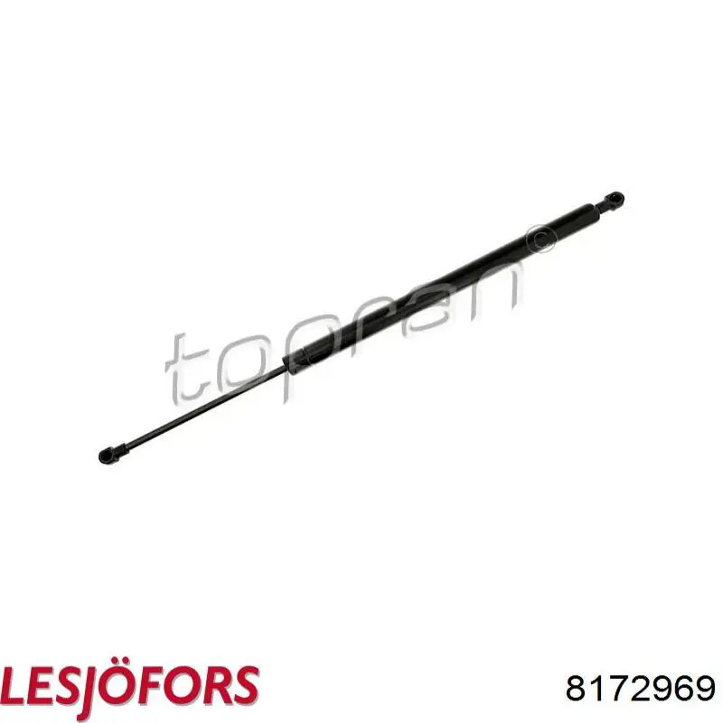 Купить 8172969 Lesjofors Амортизатор стекла багажника (двери 3/5-й задней (ляды)