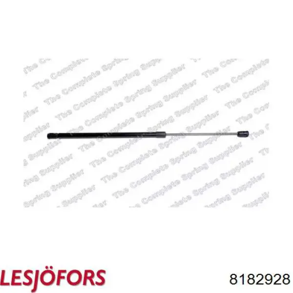 117580 Hans Pries (Topran) Амортизатор крышки багажника