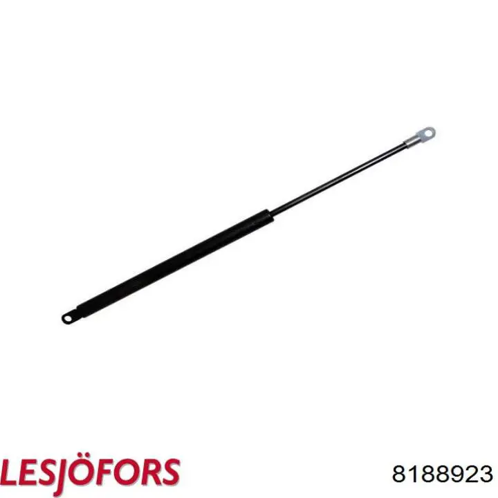 Амортизатор задней двери Lesjofors 8188923 цена, от 19.10 USD