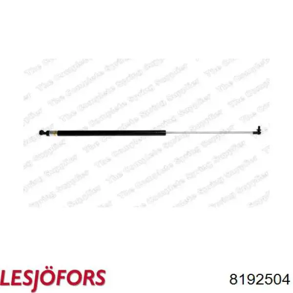 Амортизатор задней двери Lesjofors 8192504 цена, от 25.14 USD