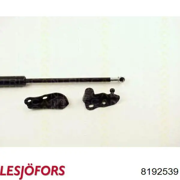  Amortecedor de tampa de porta-malas (de 3ª/5ª porta traseira) Toyota Avensis Verso monovolume (LCM) (2001 - 2009) Verso