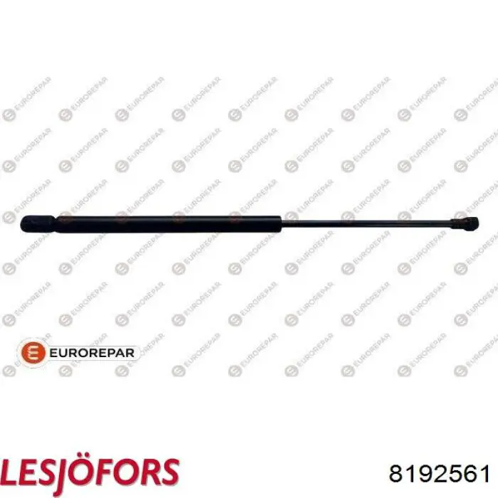 Амортизатор задней двери Lesjofors 8192561 цена, от 10.46 USD