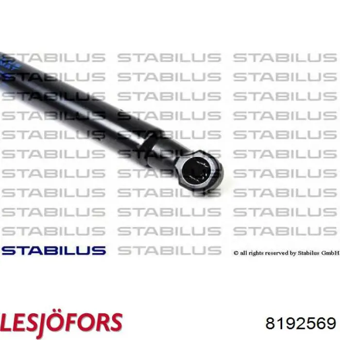 Амортизатор задней двери Lesjofors 8192569 цена, от 14.92 USD