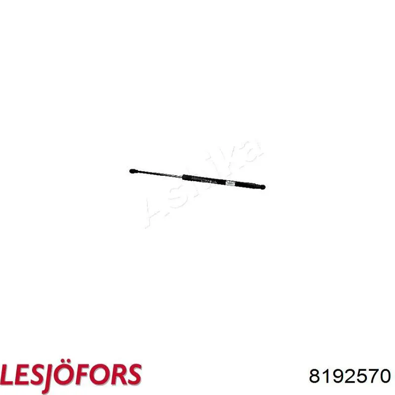 Амортизатор задней двери Lesjofors 8192570 цена, от 12.86 USD