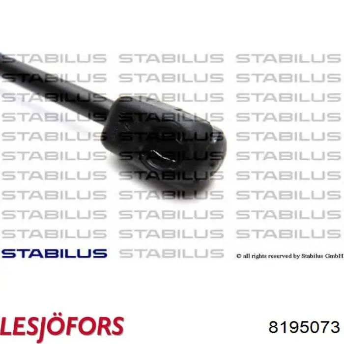 Амортизатор задней двери Lesjofors 8195073 цена, от 8.35 USD