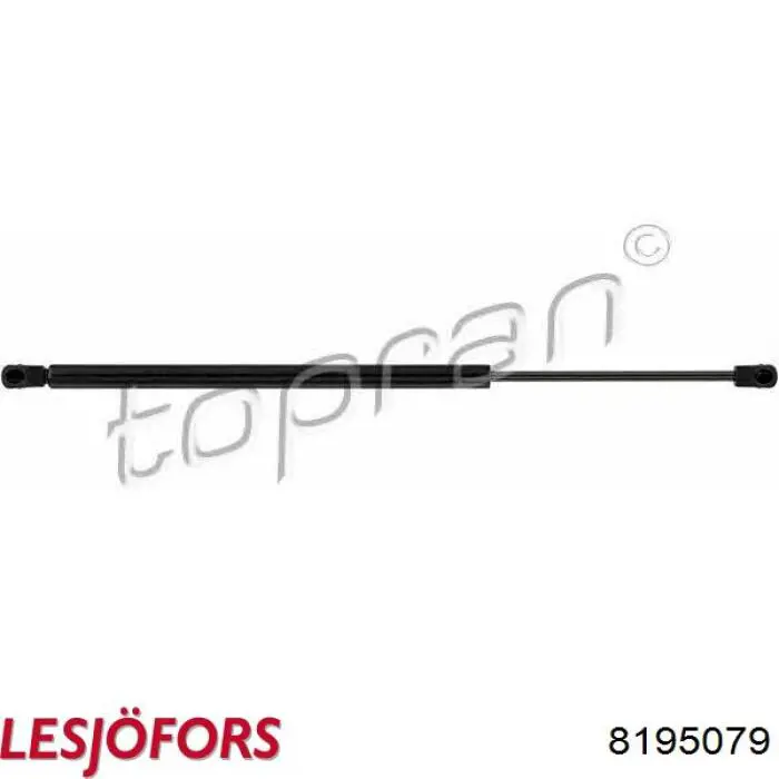 Амортизатор задней двери Lesjofors 8195079 цена, от 13.31 USD