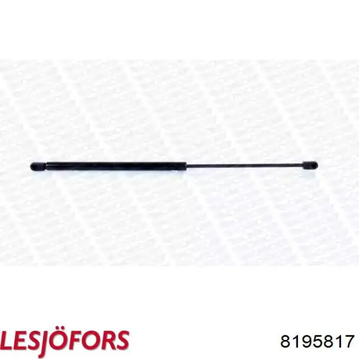 Амортизатор задней двери Lesjofors 8195817 цена, от 12.22 USD