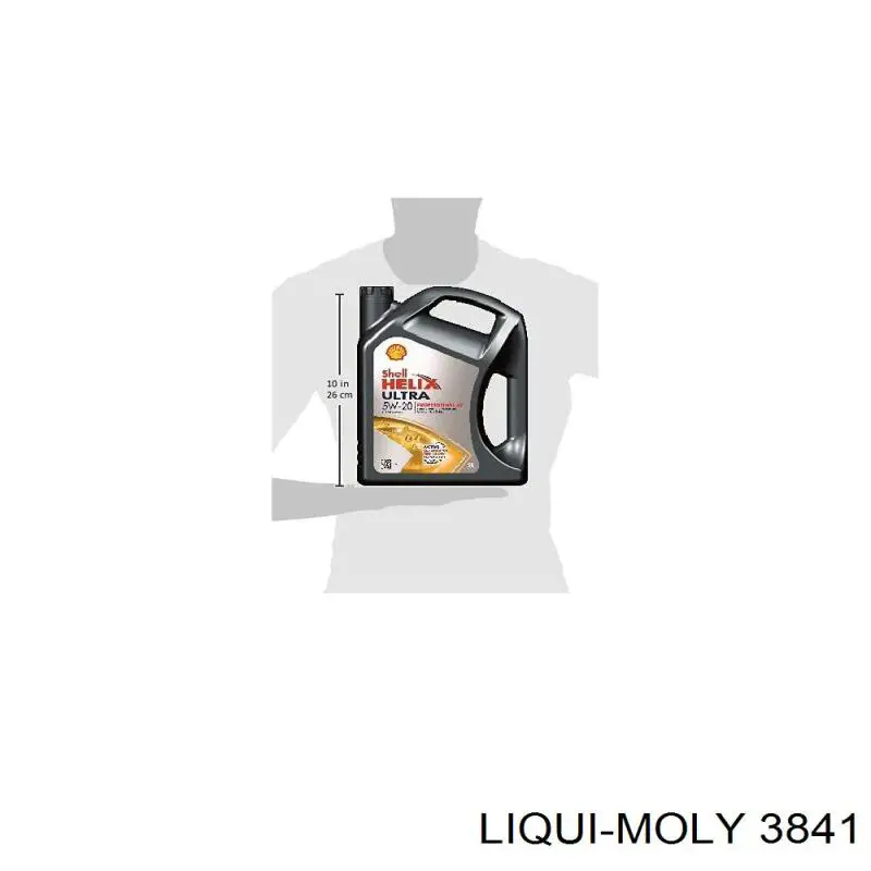 Масло моторное LIQUI MOLY 3841