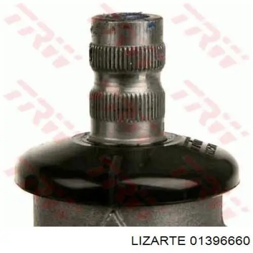 01396660 Lizarte