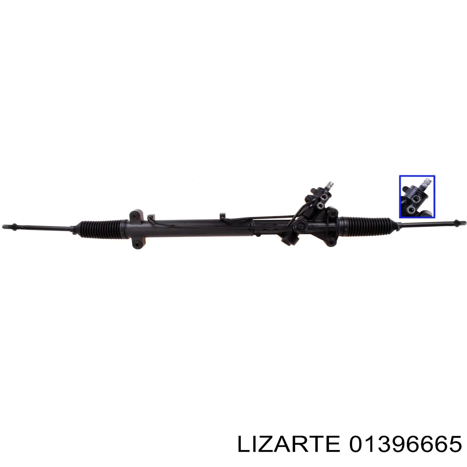 01396665 Lizarte