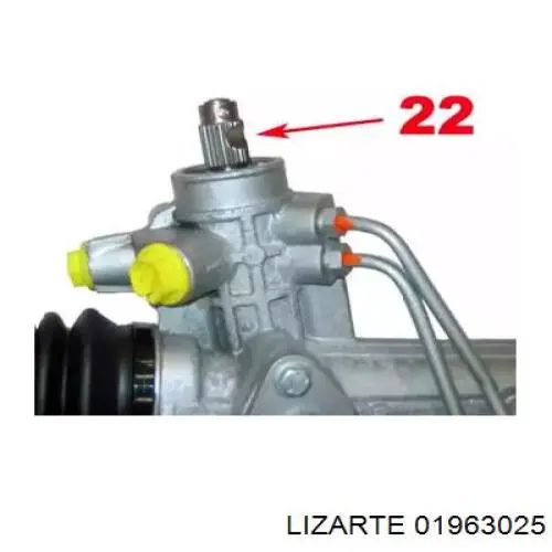  01963025 Lizarte