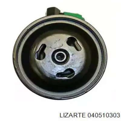 040510303 Lizarte