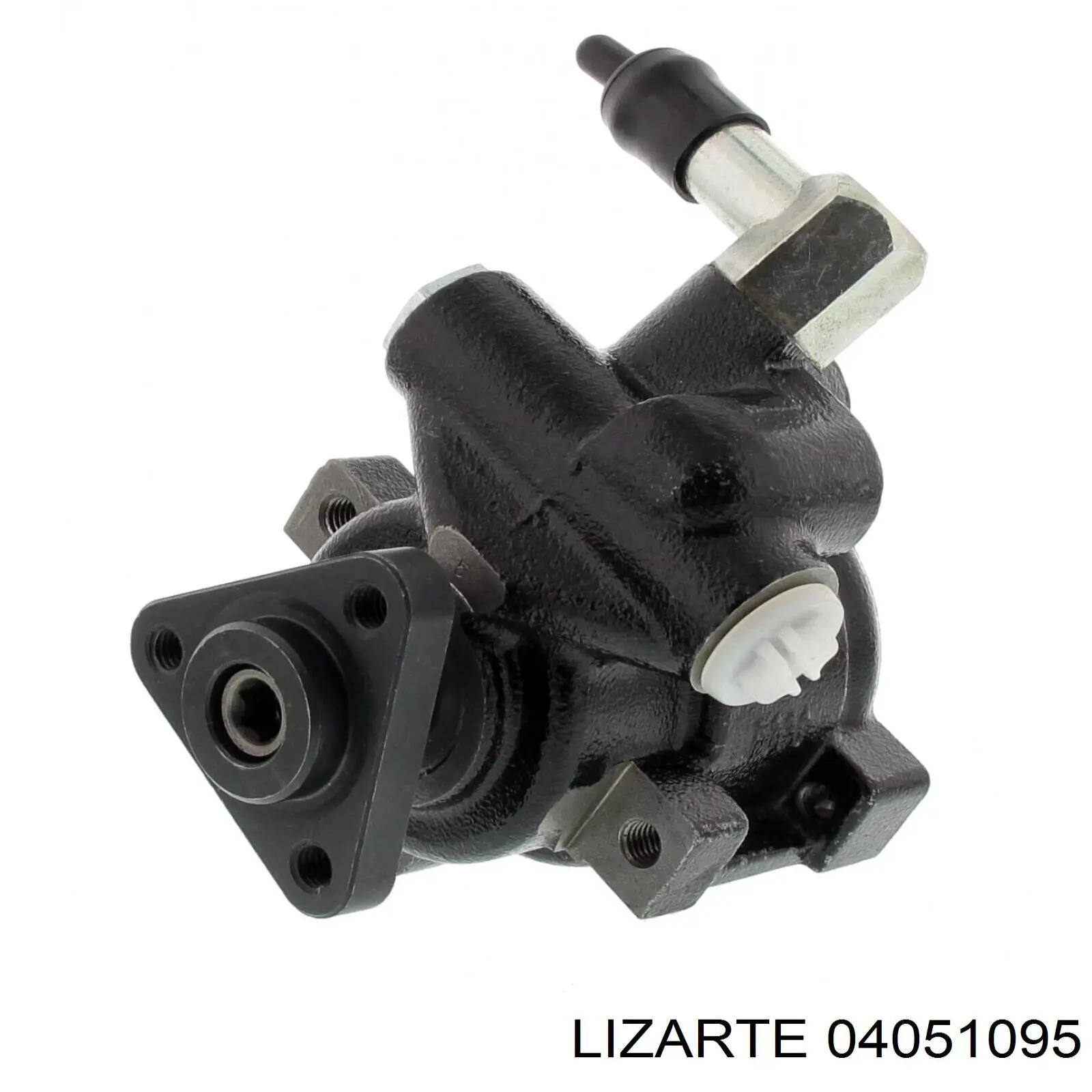 04051095 Lizarte