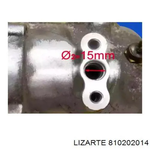 Compresor de aire acondicionado 810202014 Lizarte