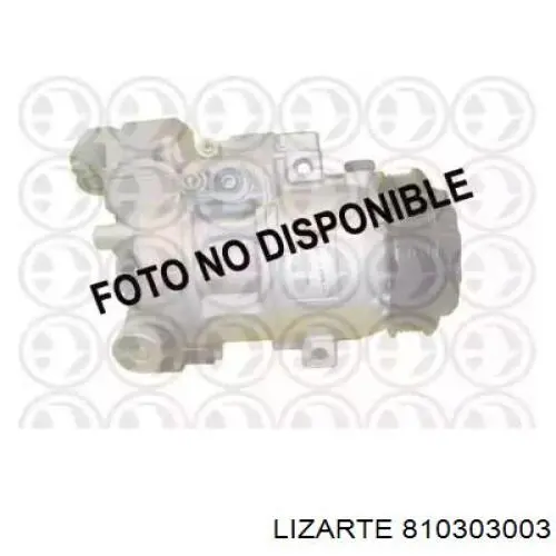  810303003 Lizarte