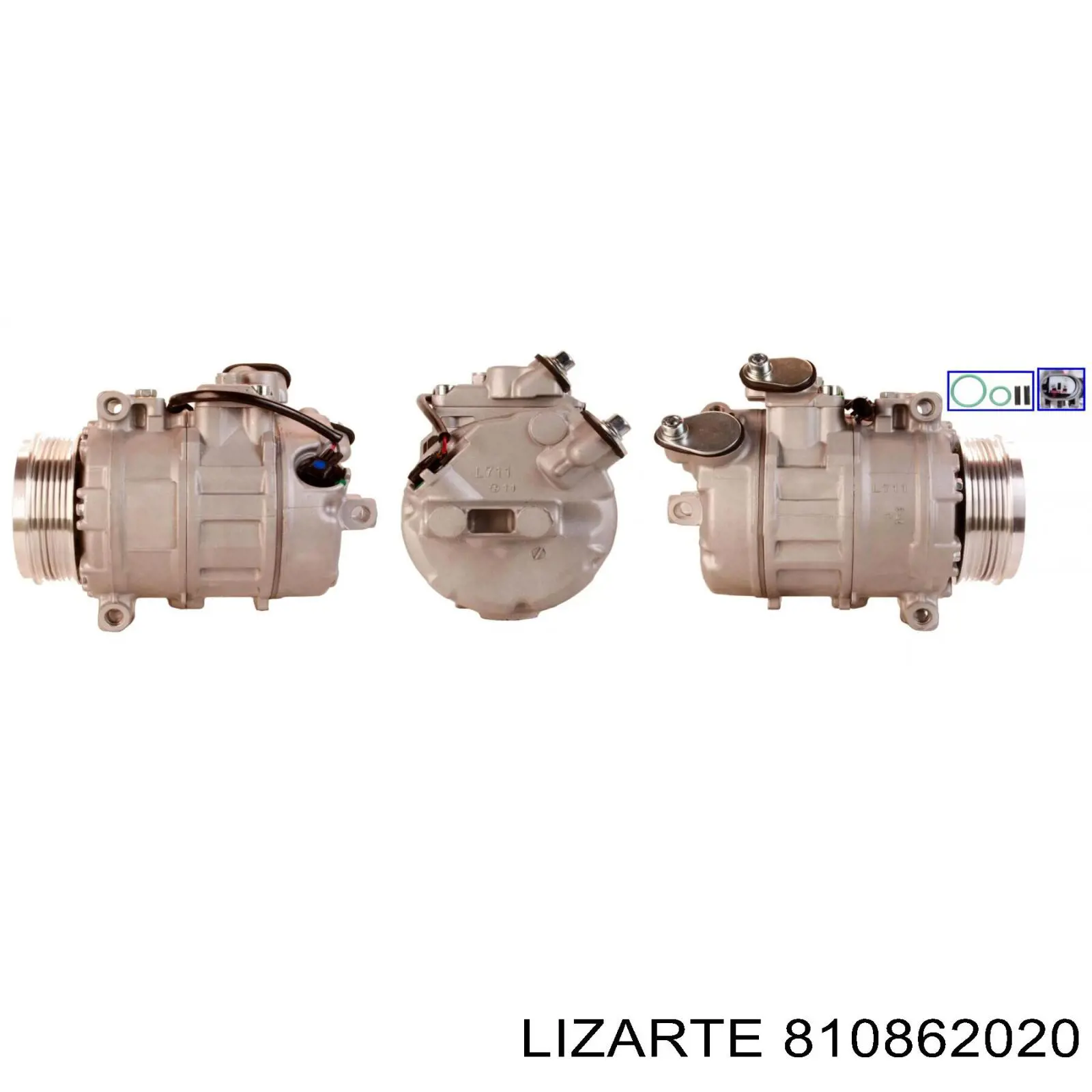 810862020 Lizarte
