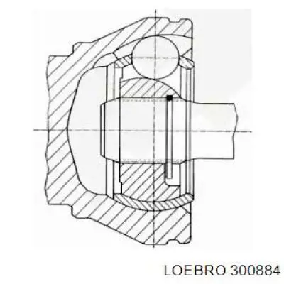 ШРУС наружный передний 300884 Loebro