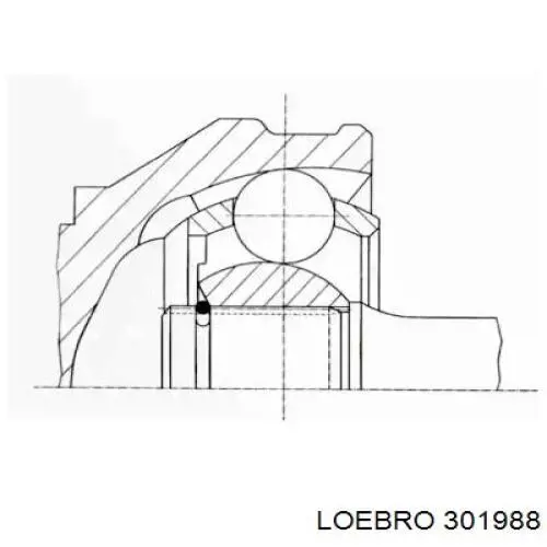 ШРУС наружный передний 301988 Loebro