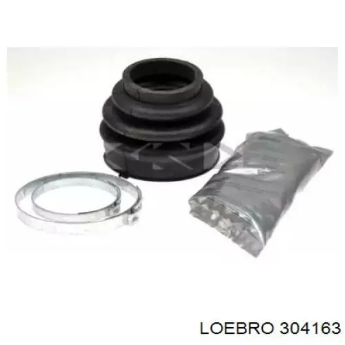  304163 Loebro