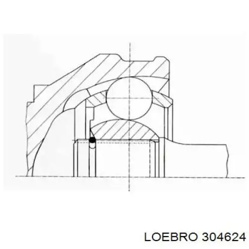 ШРУС наружный передний 304624 Loebro