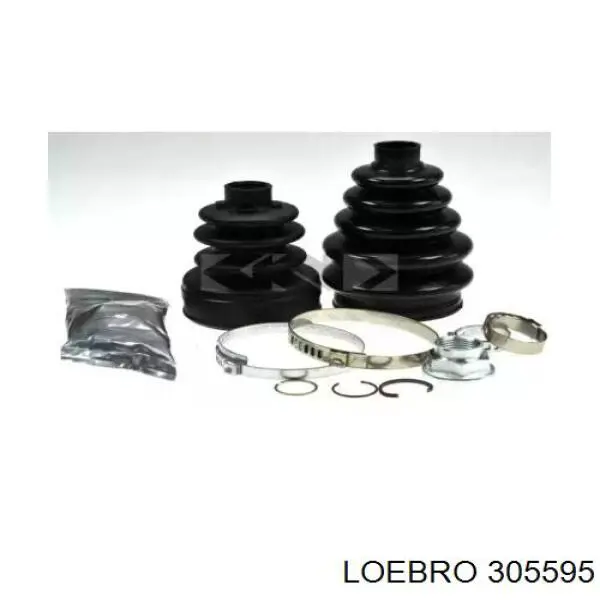  305595 Loebro