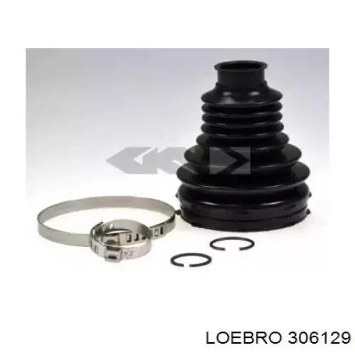  306129 Loebro