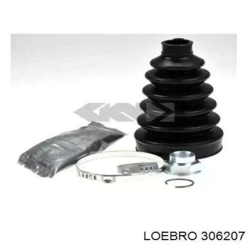  306207 Loebro