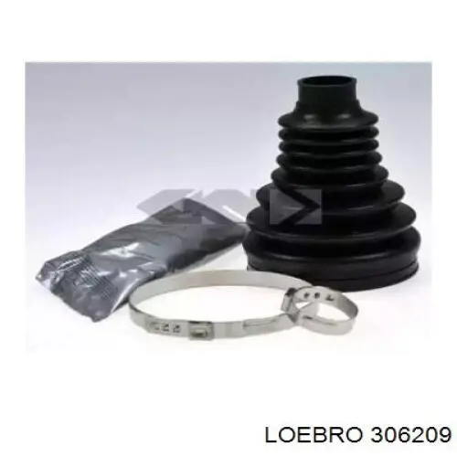  306209 Loebro