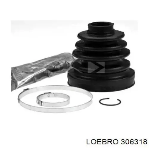  306318 Loebro