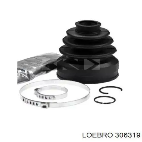  306319 Loebro