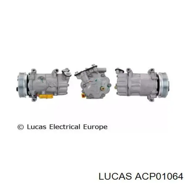 ACP01064 Lucas 