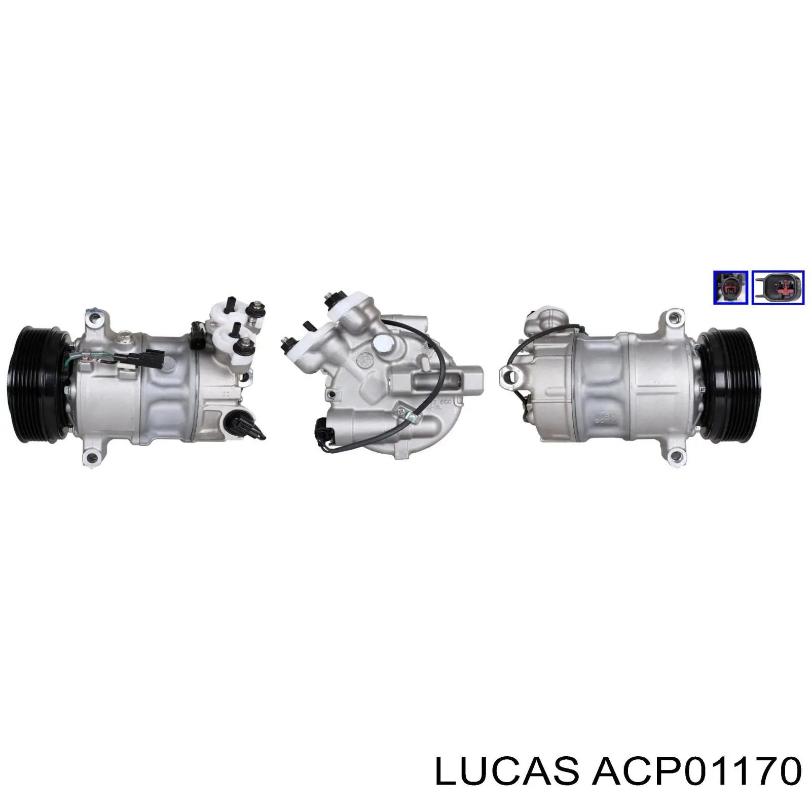 ACP01170 Lucas