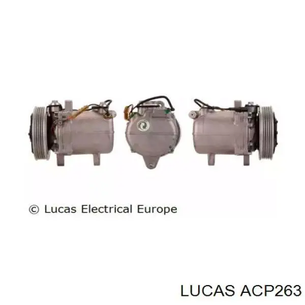  ACP263 Lucas