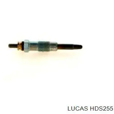 HDS255 Lucas Свечи накаливания