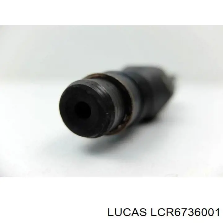 Топливные форсунки LCR6736001 Lucas