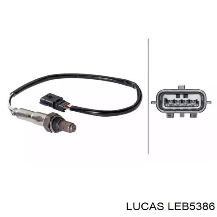 LEB5386 Lucas