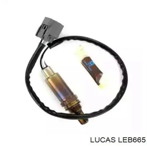  LEB665 Lucas