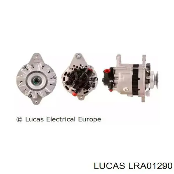  LRA01290 Lucas