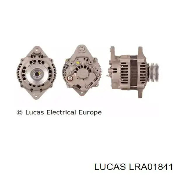  LRA01841 Lucas