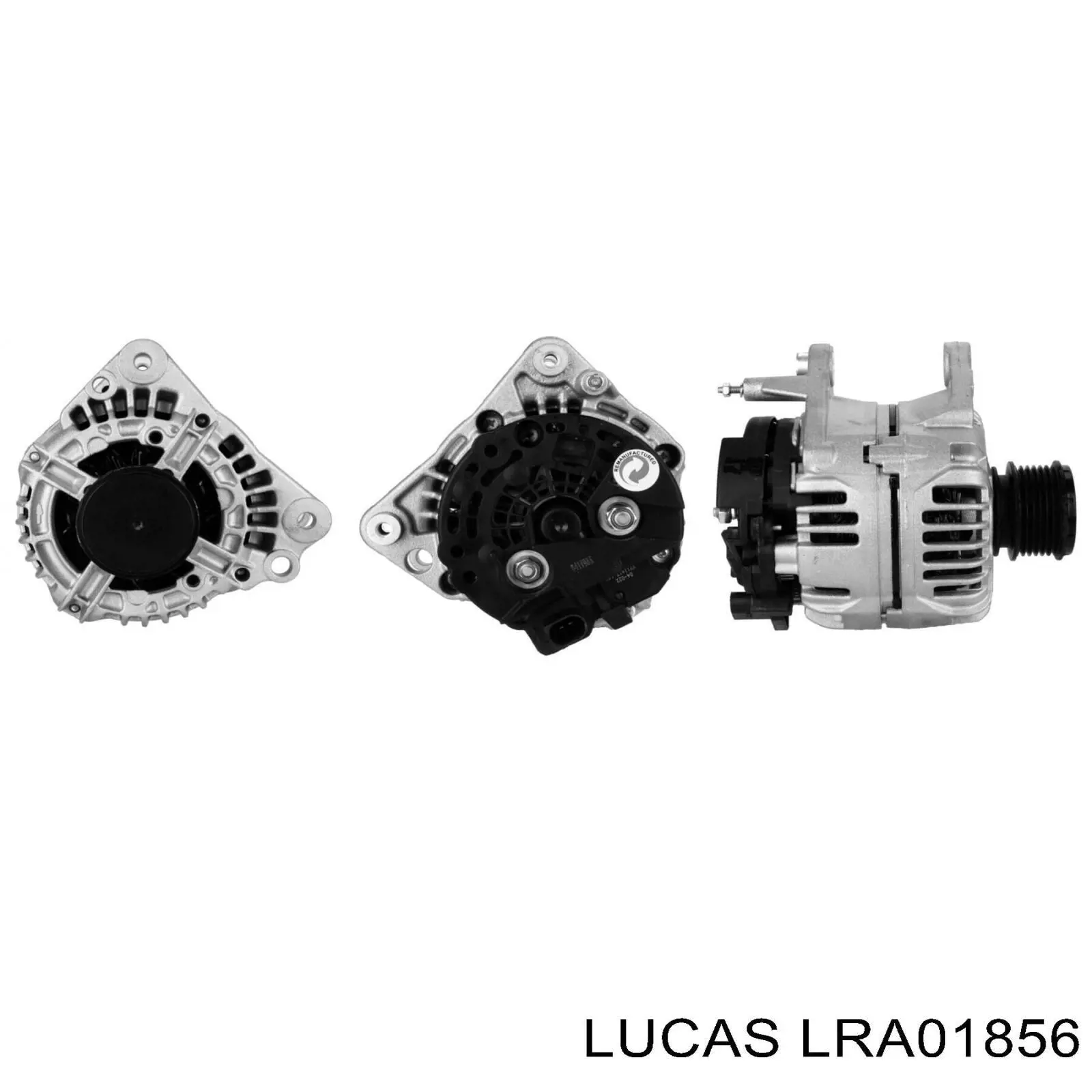 Poleas juego de piezas LRA01856 Lucas