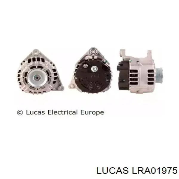 LRA01975 Lucas генератор